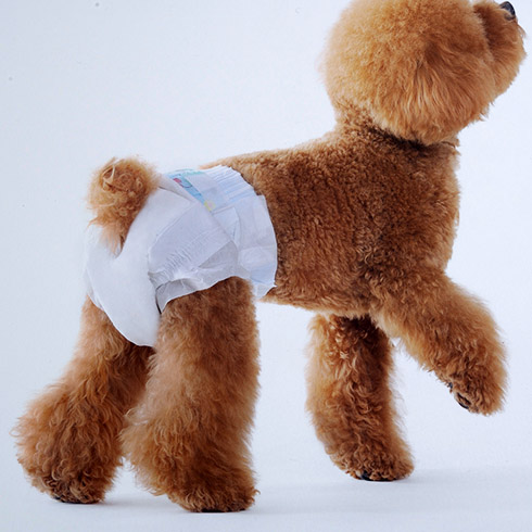 pet diapers